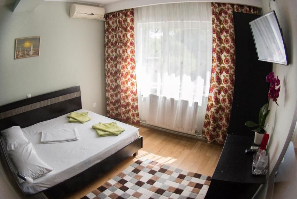 Гостевой дом Vila Raluca Эфорие-Норд-38